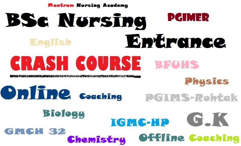 online bsc nursing coaching in chandigarh