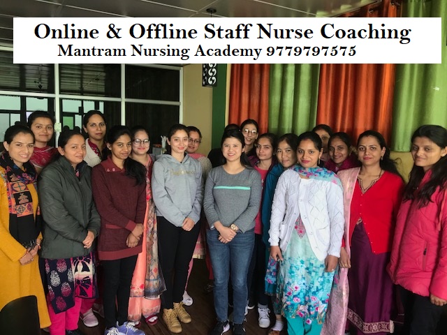 online nursing coaching