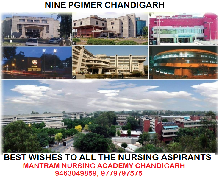 Nursing PGI Chandigarh